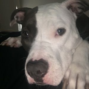 Meet your Posher, Keri